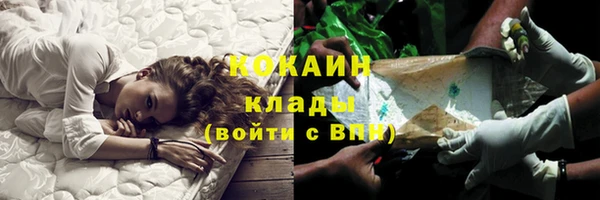 прущие грибы Абдулино