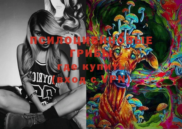 прущие грибы Абдулино