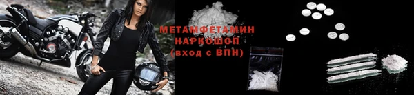 прущие грибы Абдулино