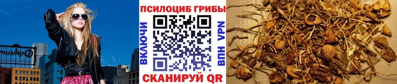 Псилоцибиновые грибы прущие грибы  Катав-Ивановск 